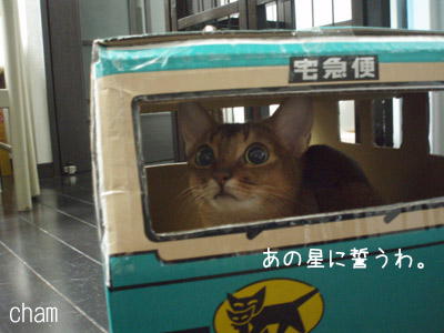 c0132438_2317487.jpg