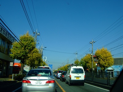 新奥多摩街道2