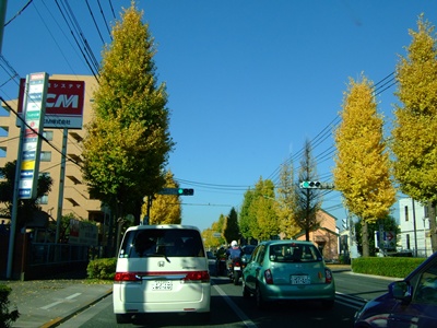 新奥多摩街道1