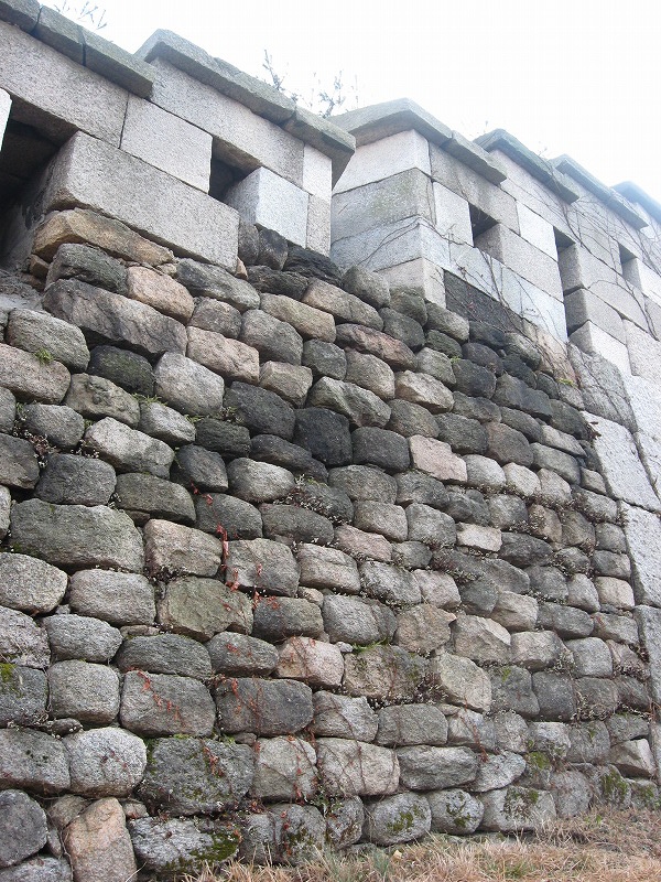 c0180345_8314140.jpg