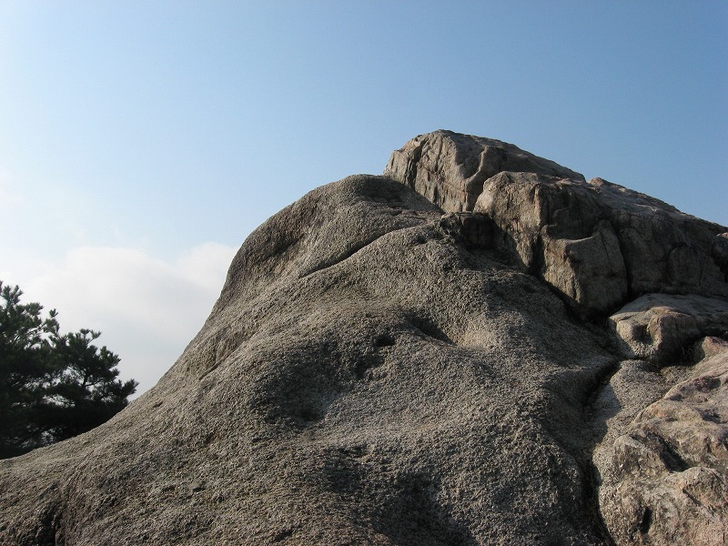 c0180345_8352795.jpg
