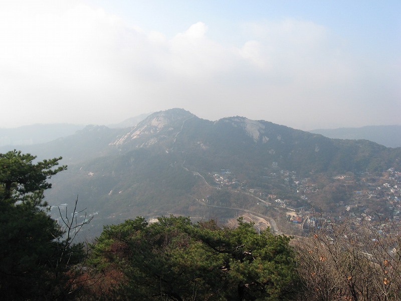 c0180345_8354595.jpg