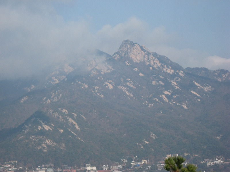 c0180345_8363869.jpg