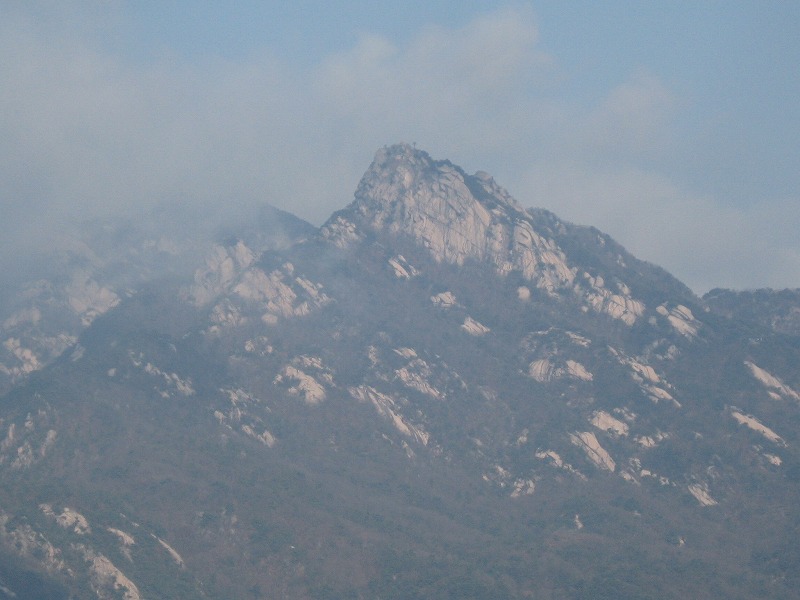 c0180345_8372153.jpg