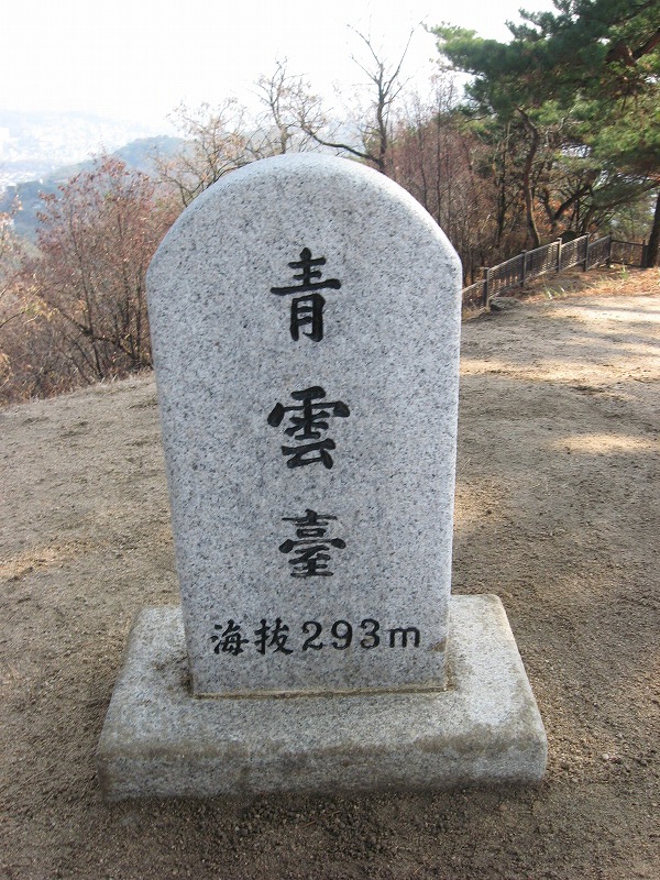 c0180345_8382722.jpg