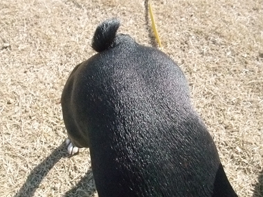 e0126046_23562913.jpg