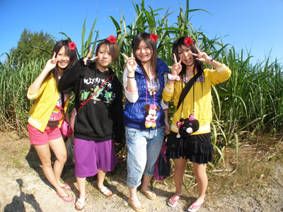 d0065247_15244457.jpg
