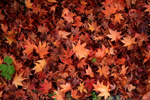 a0024250_22362155.jpg