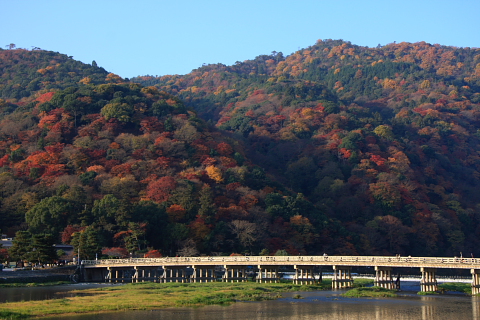 a0024250_22374861.jpg