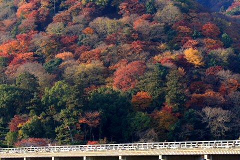 a0024250_22423158.jpg
