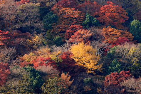 a0024250_22432156.jpg