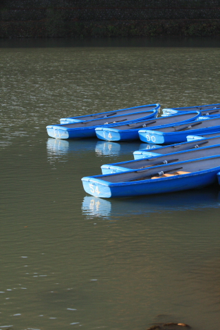 a0024250_2312632.jpg