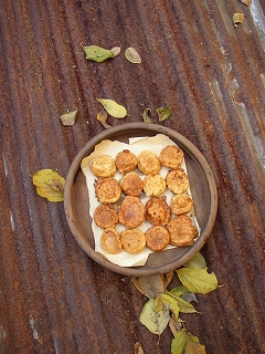 a0068350_5545029.jpg