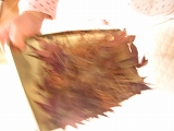 a0068350_634839.jpg