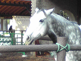 b0114656_11142940.jpg
