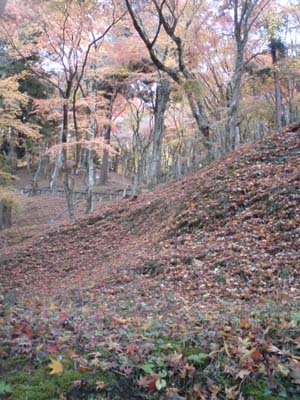 f0168256_8103269.jpg