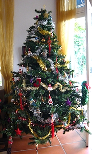 c0171358_20254935.jpg