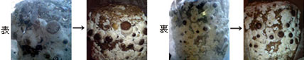 d0029958_20273164.jpg