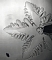 b0031166_15111553.jpg