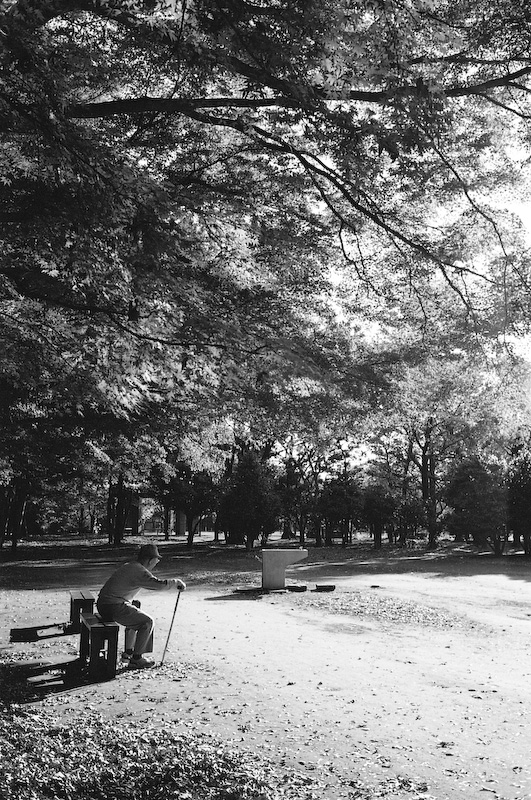 c0084666_2158383.jpg
