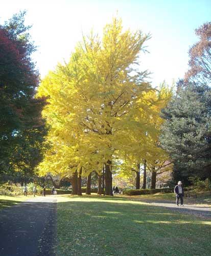 e0097770_015795.jpg