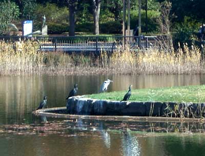e0097770_0164297.jpg
