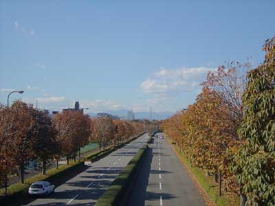 e0097770_061333.jpg