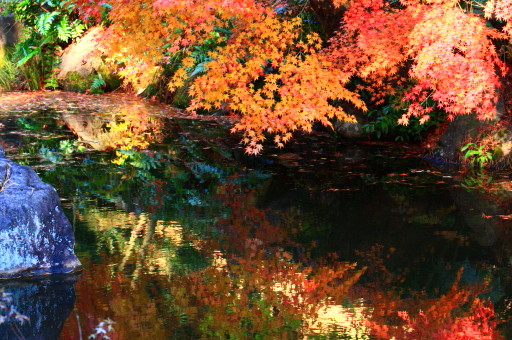 c0148777_21143187.jpg