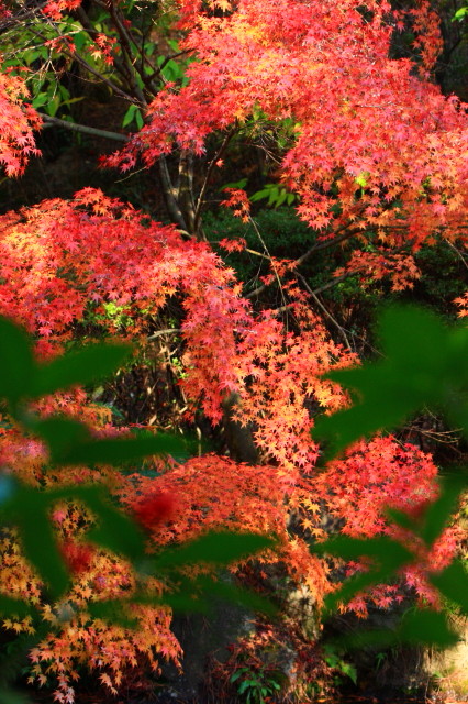 c0148777_21151547.jpg