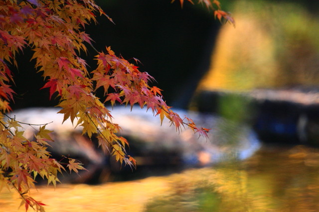 c0148777_2115323.jpg