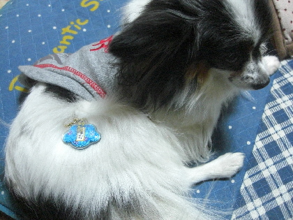 d0116578_21354345.jpg