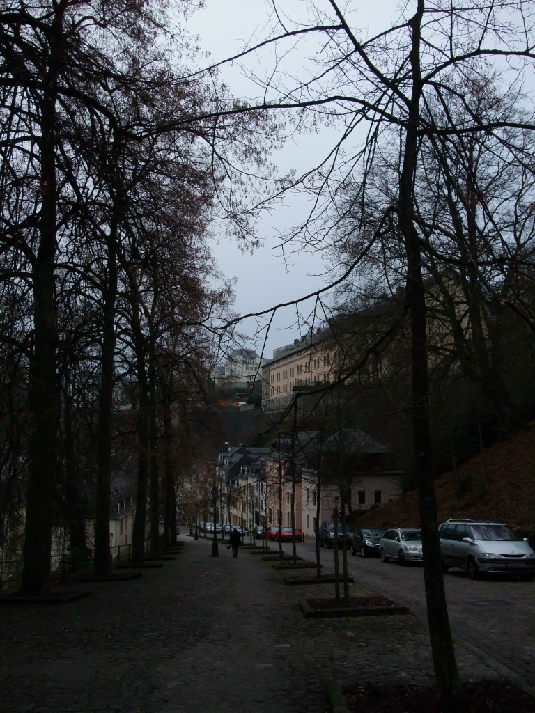 c0024980_1128538.jpg