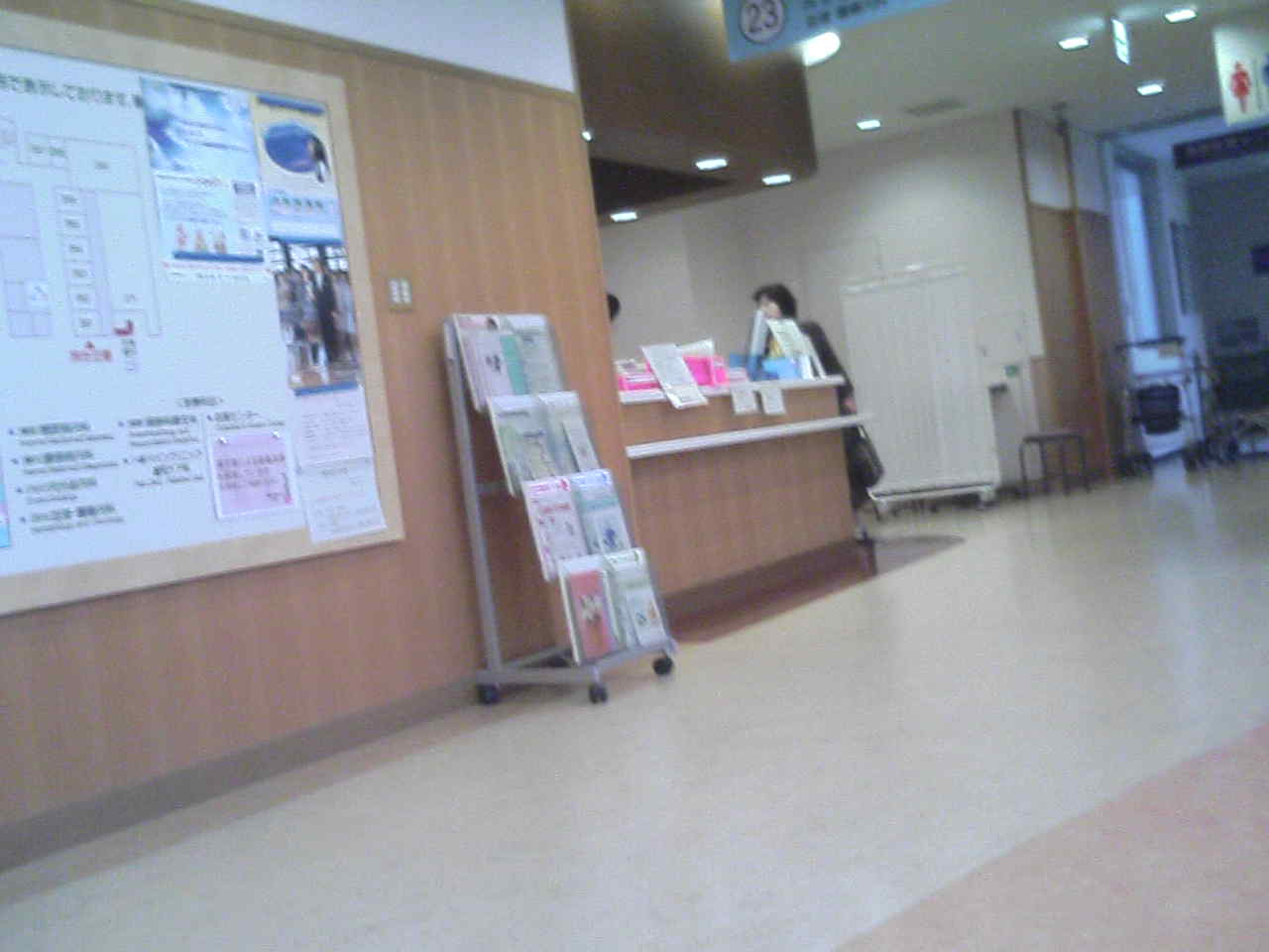 b0127783_034471.jpg