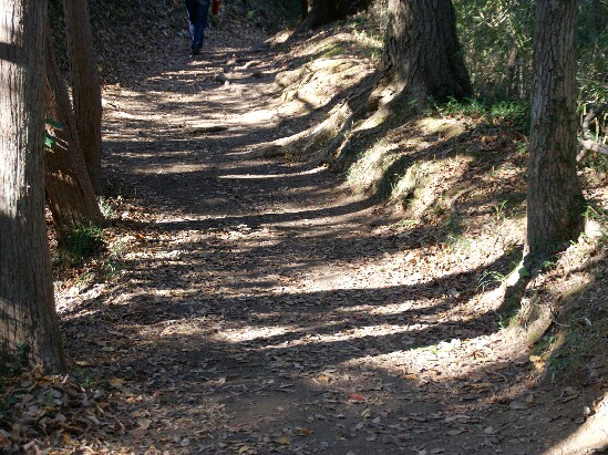 e0156083_818414.jpg