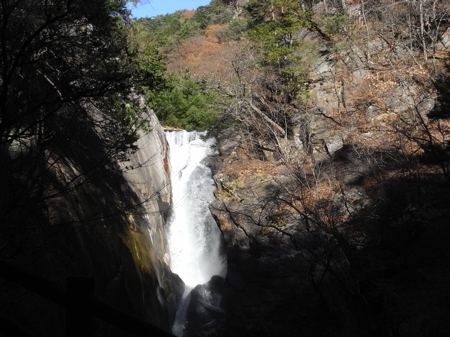 b0098884_211456.jpg