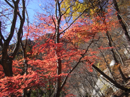 b0098884_21155251.jpg