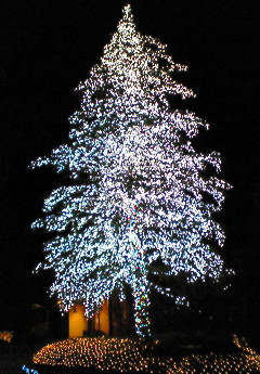 e0088684_21111446.jpg
