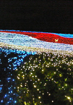 e0088684_216204.jpg