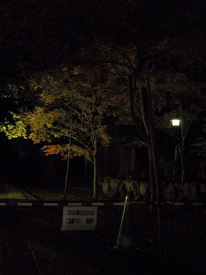 c0105785_19213549.jpg