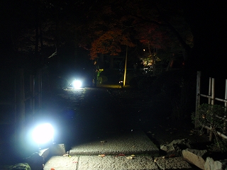 c0105785_1981034.jpg