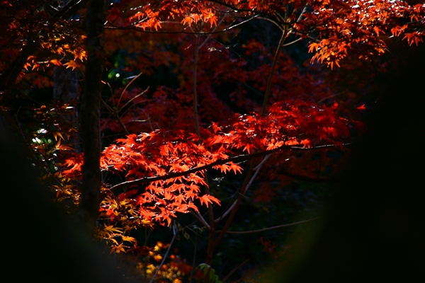 a0082787_21751100.jpg