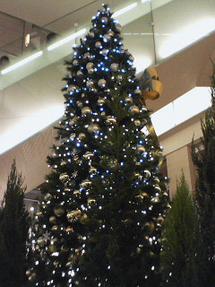 f0038892_0502064.jpg
