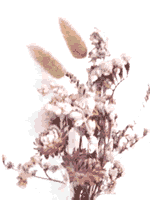 d0091393_16103373.gif