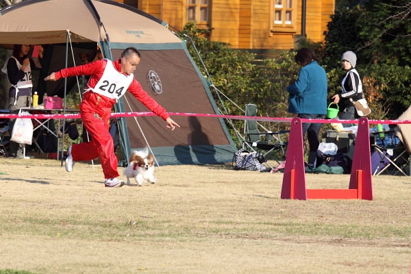 c0044199_093348.jpg