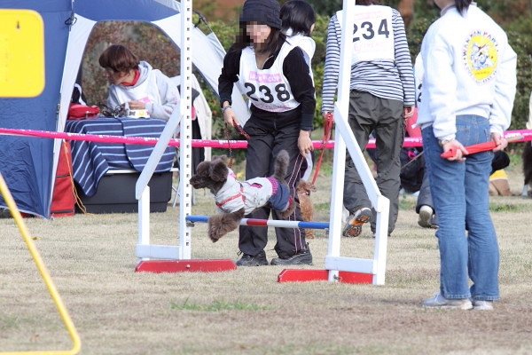 c0044199_142287.jpg