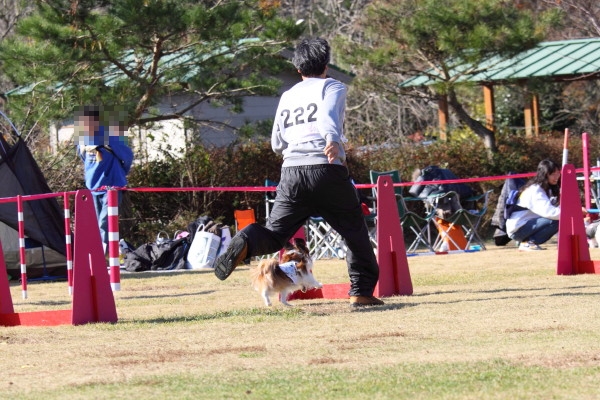 c0044199_218765.jpg