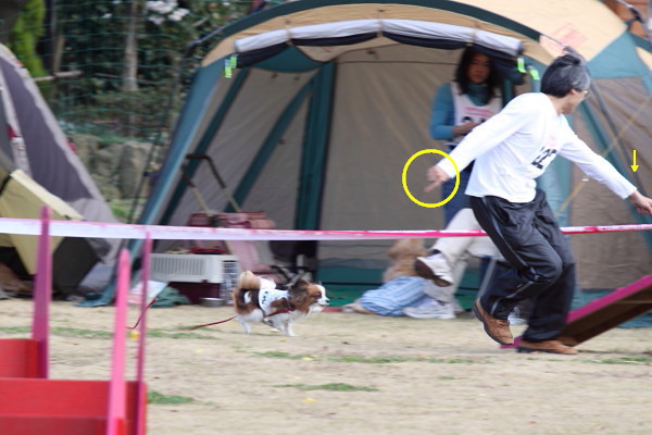 c0044199_2223861.jpg