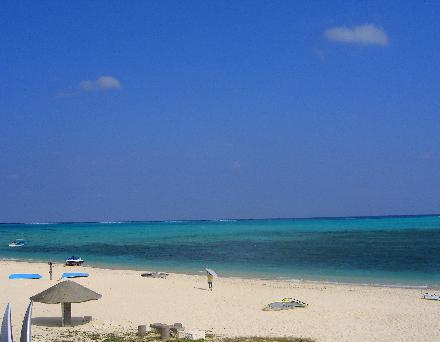 e0077899_764896.jpg