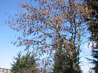 e0122199_1615429.jpg