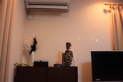 e0149299_2052987.jpg